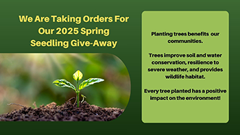 2025 Spring Seedling Program