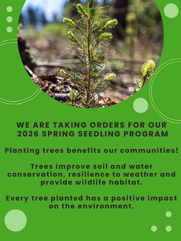 We are taking orders - 2026 Seeding