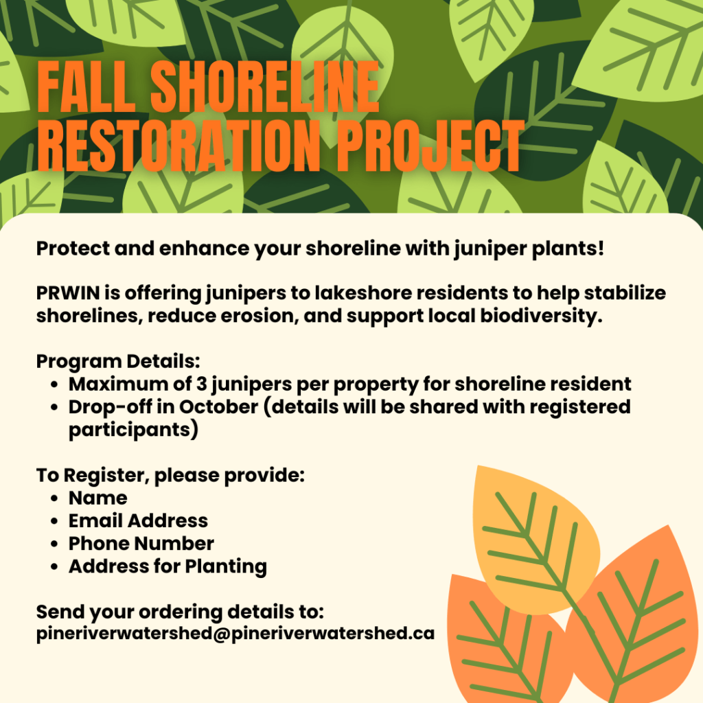 Fall Shorline Restoration Project